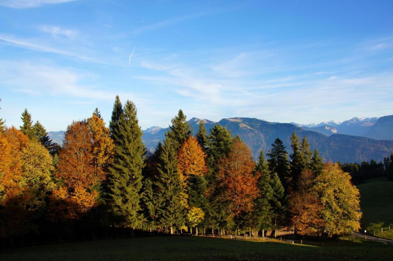 Alpengasthof Brueggele Hotel Alberschwende Bagian luar foto